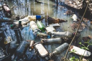 Illuszztráció / Fotó: Shutterstock