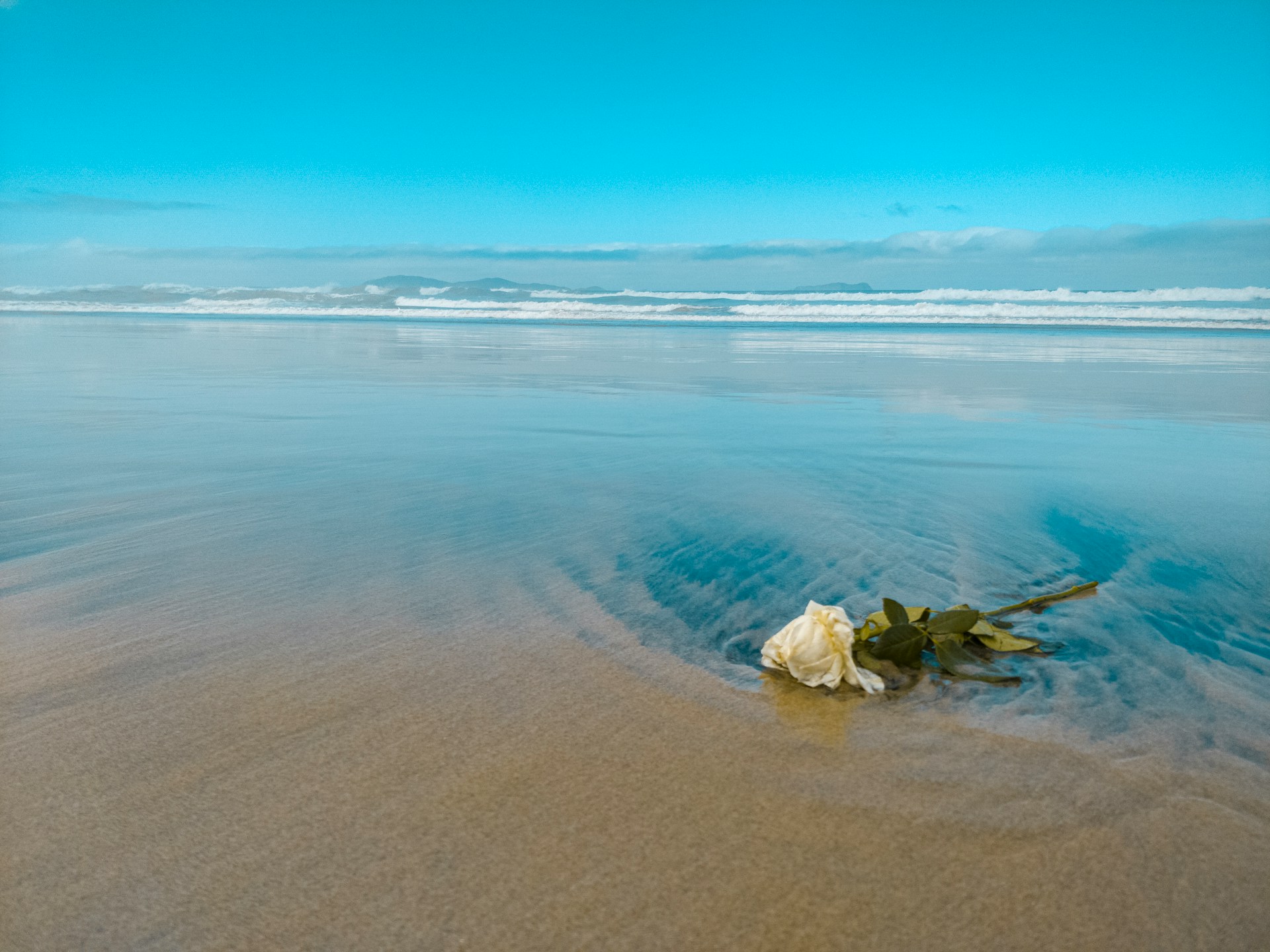 Illusztráció / Fotó: Unsplash, Alfredo Viramontes