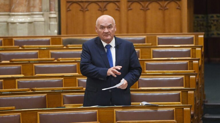 Hende Csaba / Fotó: Bruzák Noémi, MTI