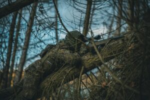 Illusztráció / Fotó: Unsplash