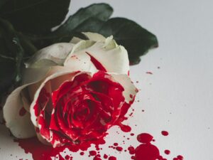 Illusztráció / Fotó: Unsplash