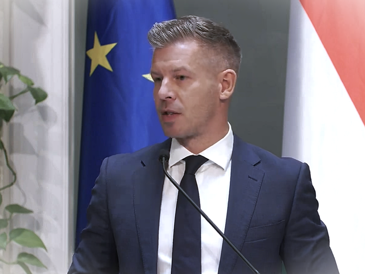 Magyar Péter / Fotó: 444 YouTube, Képernyőkép