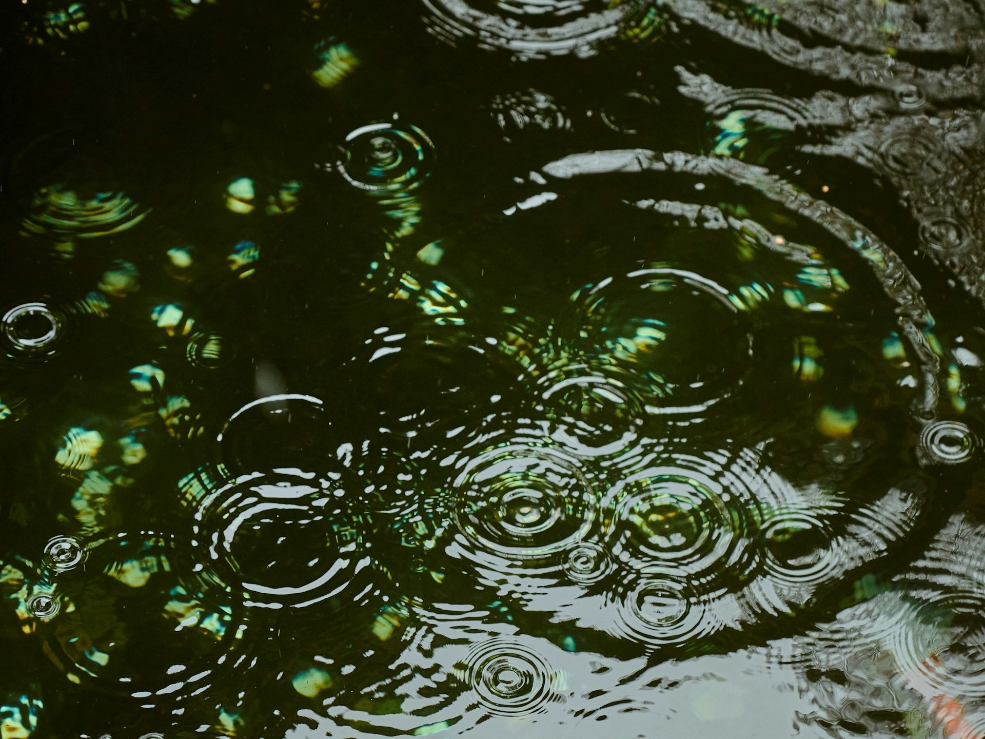 Illusztráció / Fotó: Unsplash