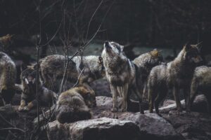 Illusztráció / Fotó: Unsplash