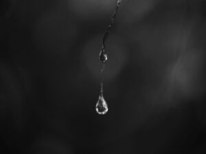 Illusztráció / Fotó: Unsplash