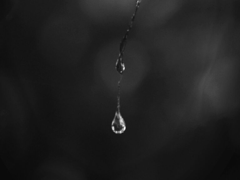 Illusztráció / Fotó: Unsplash