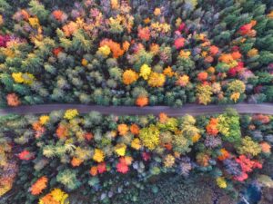 Illusztráció / Fotó: Unsplash