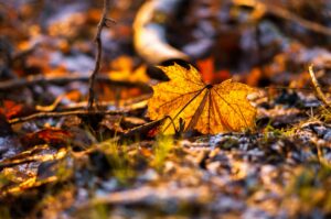 Fotó: Unsplash