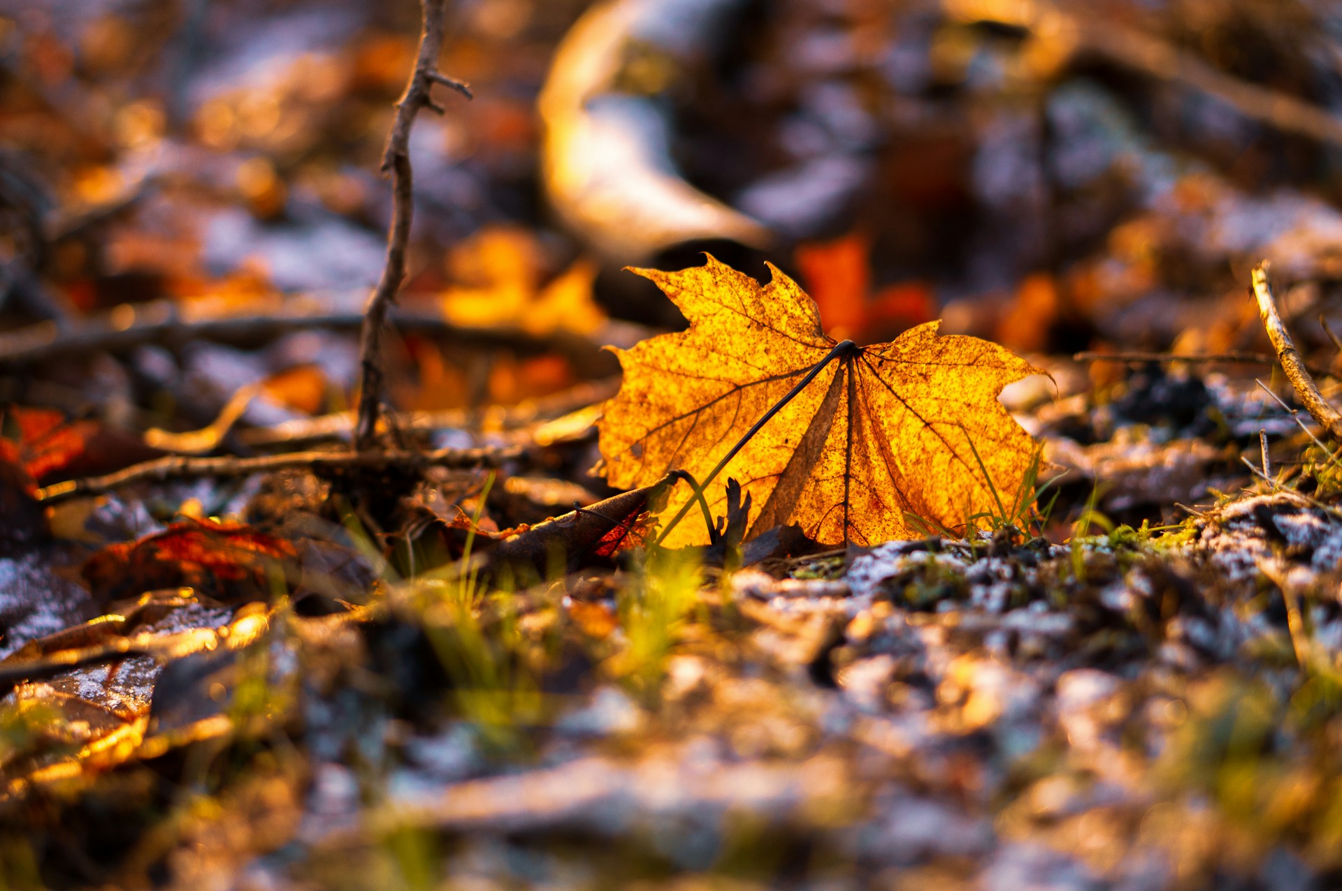 Fotó: Unsplash