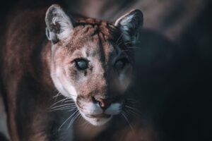 Illusztráció / Fotó: Pexels