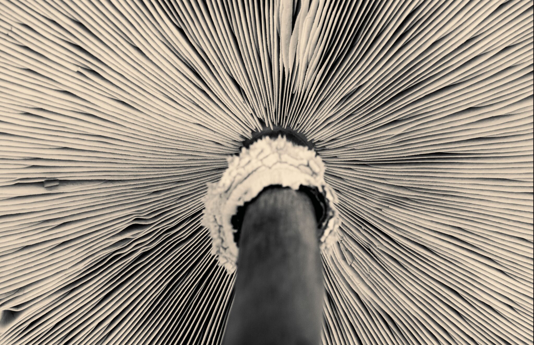 Illusztráció / Fotó: Pexels