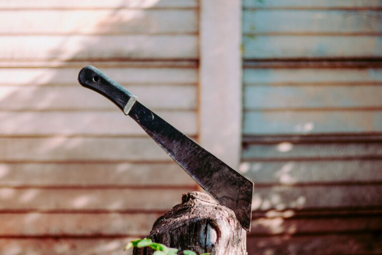 Illusztráció / Fotó: Pexels