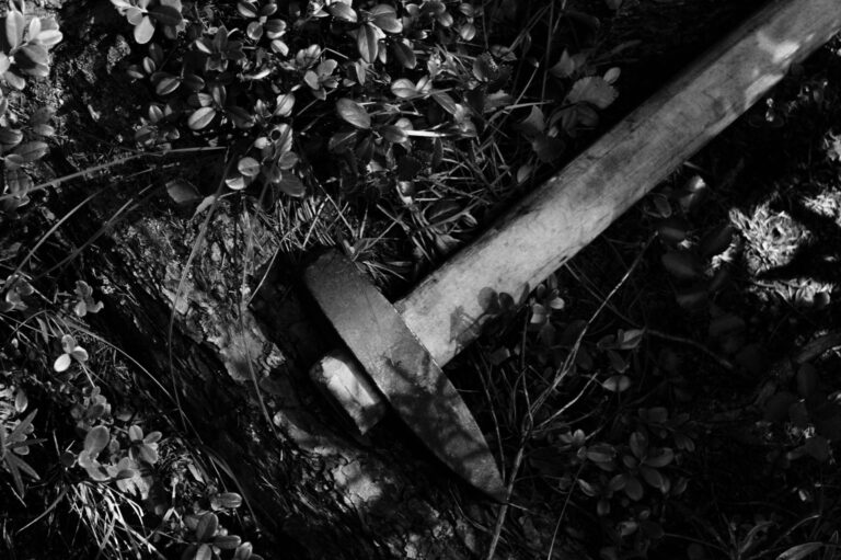 Illusztráció / Fotó: Pexels