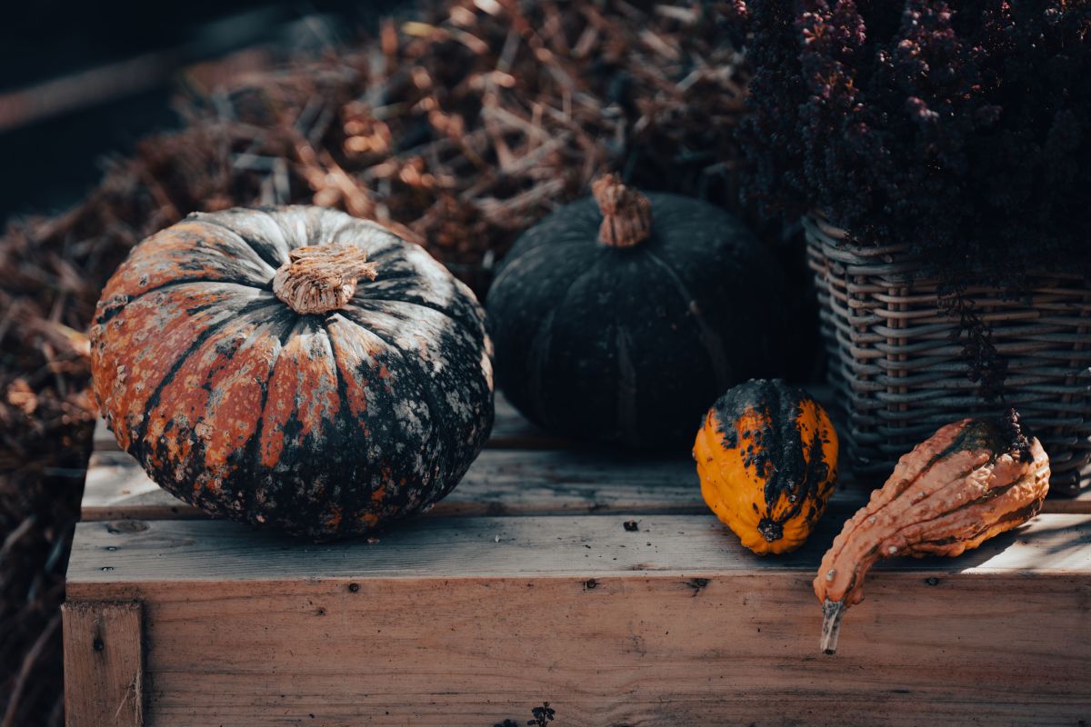 Illusztráció/ Fotó: Pexels