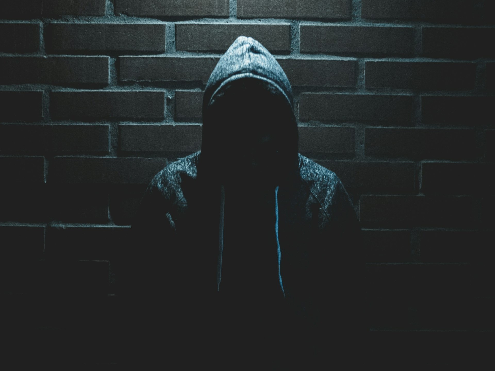 Illusztráció / Fotó: Unsplash